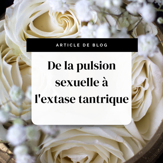 De la pulsion sexuelle à l'extase tantrique | Secrets de Shakti